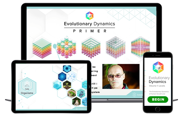 Evolutionary-Dynamics-Mockup-v1